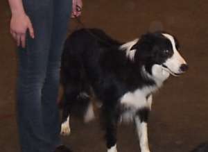 Adatos Ausstellung Verl 2006